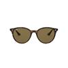 Ray-Ban RB4305 710/73 | Ohgafas.com