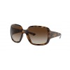 Ray-Ban Powderhorn 0RB4347 710/13