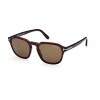 Tom Ford Avery FT0931 52H