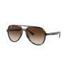 Ray-Ban RB4376 710/13