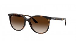 Ray-Ban RB4378 710/13