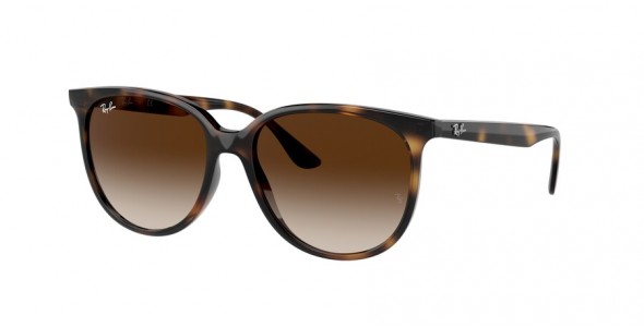 Ray-Ban RB4378 710/13