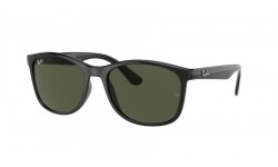 Ray-Ban RB4374 601/31