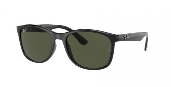 Ray-Ban RB4374 601/31