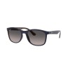 Ray-Ban RB4374 6601M3