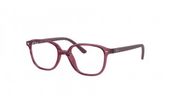 Ray-Ban Leonard Jr RY9093V 3898