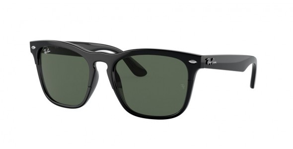 Ray-Ban Steve RB4487 662971