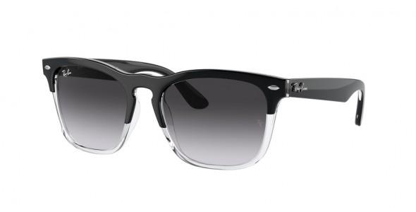 Ray-Ban Steve RB4487 66308G