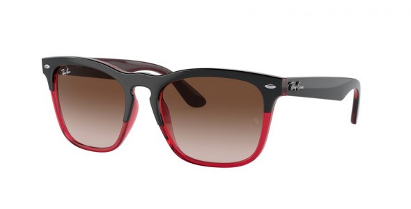 Ray-Ban Steve RB4487 663113