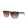 Ray-Ban Steve RB4487 663113