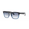 Ray-Ban Steve RB4487 663219