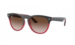 Ray-Ban Iris RB4471 663113