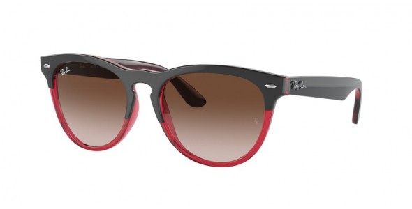 Ray-Ban Iris RB4471 663113