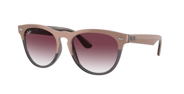 Ray-Ban Iris RB4471 66338H