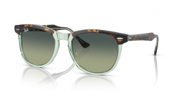 Ray-Ban Eagleeye RB2398 1376BH