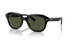 Ray-Ban Erik RB4398 901/31