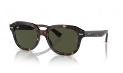 Ray-Ban Erik RB4398 902/31