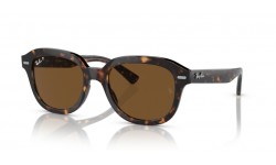 Ray-Ban Erik RB4398 902/57