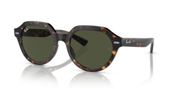 Ray-Ban Gina RB4399 902/31