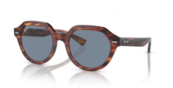 Ray-Ban Gina RB4399 954/62