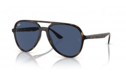 Ray-Ban RB4376 710/80