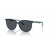 Ray-Ban RB4378 669487