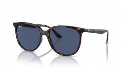 Ray-Ban RB4378 710/80