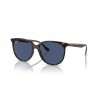 Ray-Ban RB4378 710/80