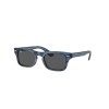 Ray-Ban Junior Burbank Jr RJ9083S 707287