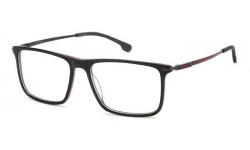 Carrera 8905 OIT