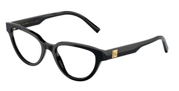 Dolce & Gabbana DG3358 501