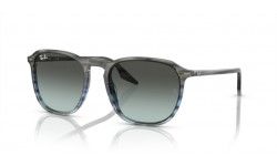 Ray-Ban RB2203 1391GK