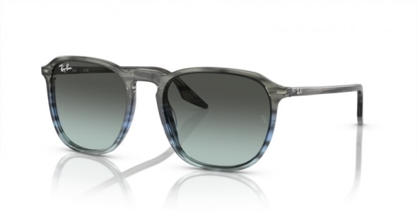 Ray-Ban RB2203 1391GK