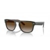 Ray-Ban RB4407 6732T5