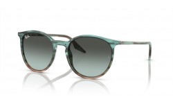 Ray-Ban RB2204 1394GK