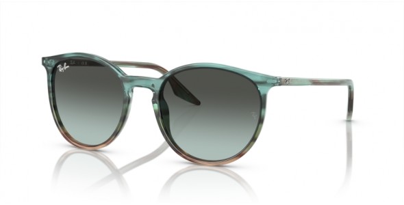 Ray-Ban RB2204 1394GK