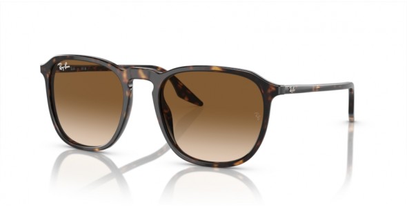 Ray-Ban RB2203 902/51