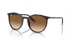 Ray-Ban RB2204 902/51