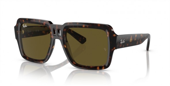 Ray-Ban MAGELLAN RB4408 135973