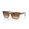 Ray-Ban RB4428 664051