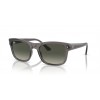 Ray-Ban RB4428 667571