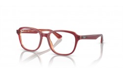 Ray-Ban RY1627 3947