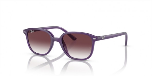 Ray-Ban JUNIOR LEONARD RJ9093S 713136