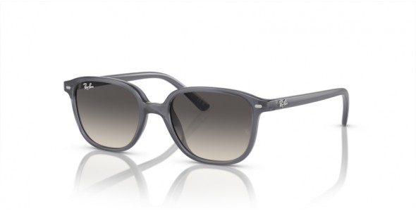 Ray-Ban JUNIOR LEONARD RJ9093S 713411