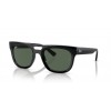 Ray-Ban PHIL RB4426 667771