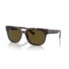 Ray-Ban PHIL RB4426 135973