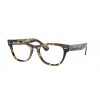 Ray-Ban Laramie 0RX2201V 8116