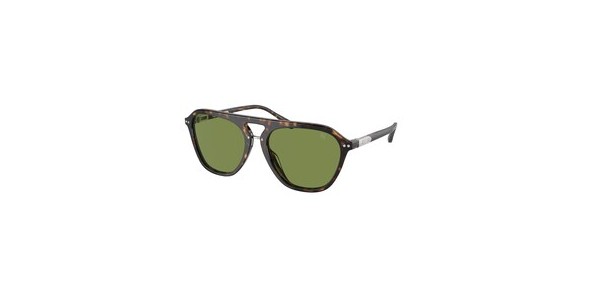 Ralph Lauren RL8219U 50034E