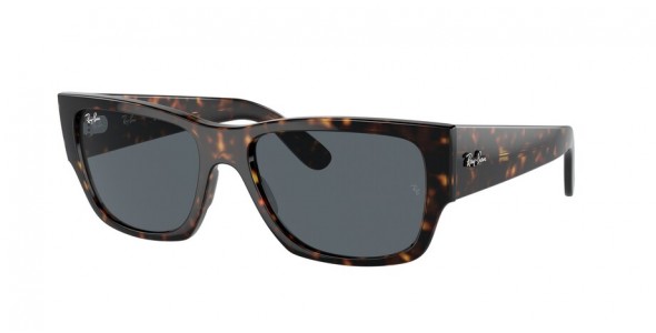 Ray-Ban Carlos RB0947S 902/R5