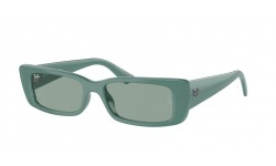 Ray-Ban Teru RB4425 676282